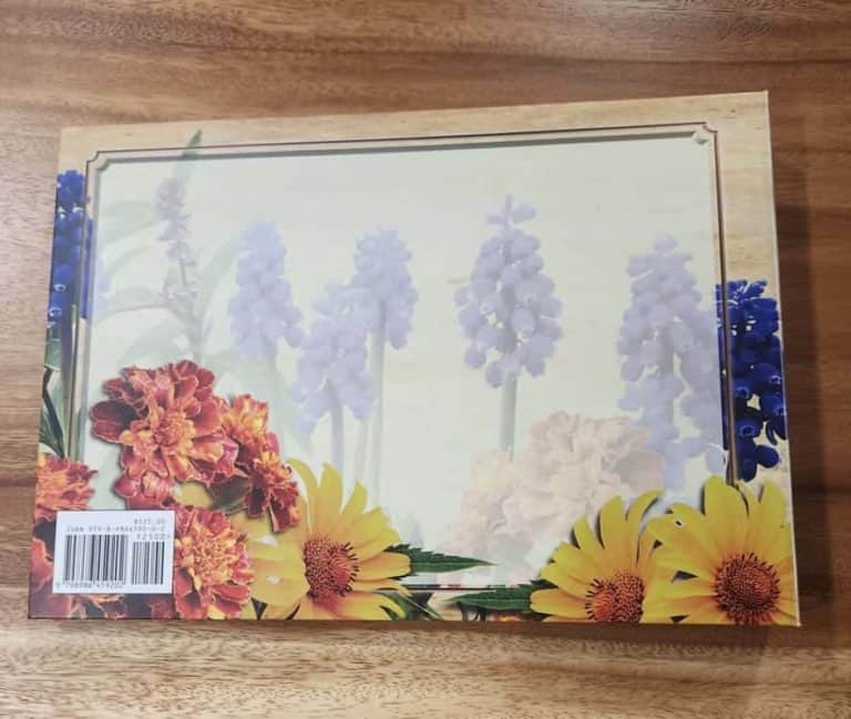 Dr. Morse’s Ultimate Detox Programs International School of the