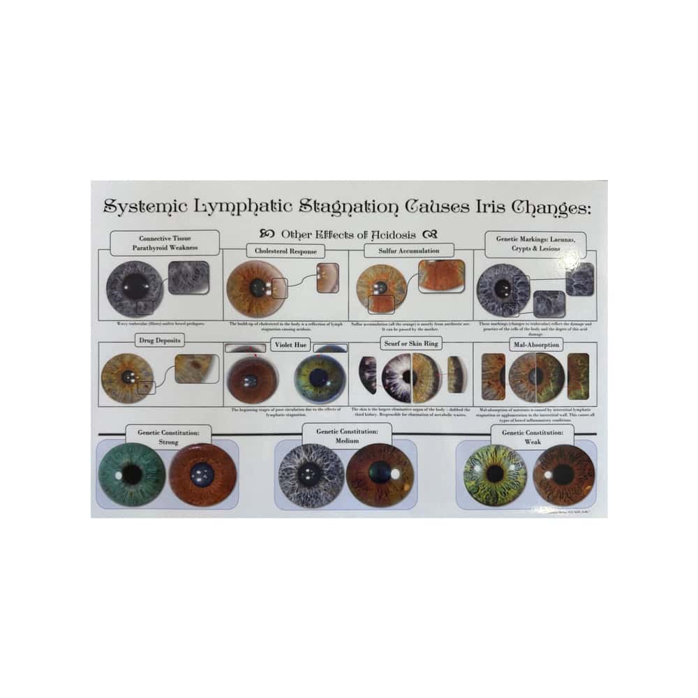 Book International School of the Healing Arts