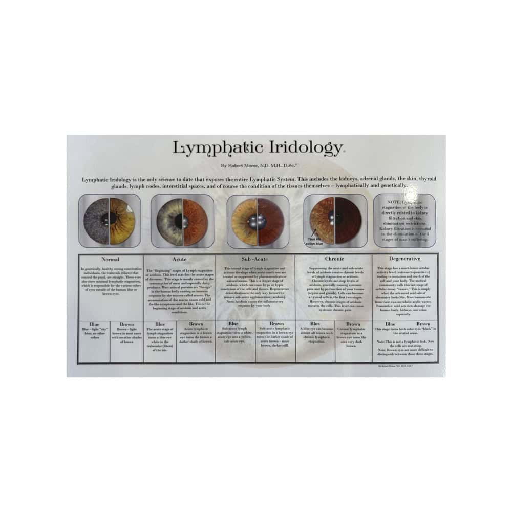 Book International School of the Healing Arts